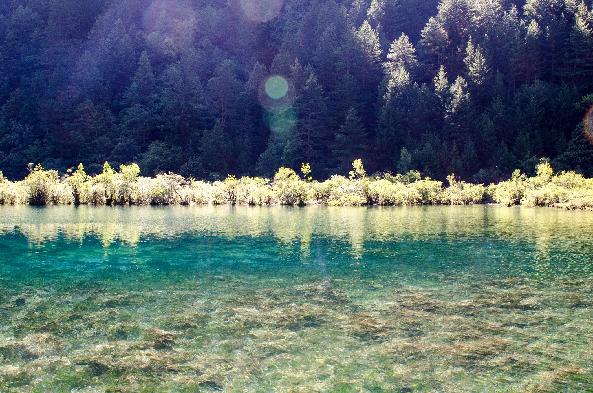 wKgBs1eTgSmAD9T-ABLH2q6wY2862.jpeg?imageView2%2F2%2Fw%2F680%2Fq%2F90%7CimageMogr2%2Fstrip%2Fquality%2F90