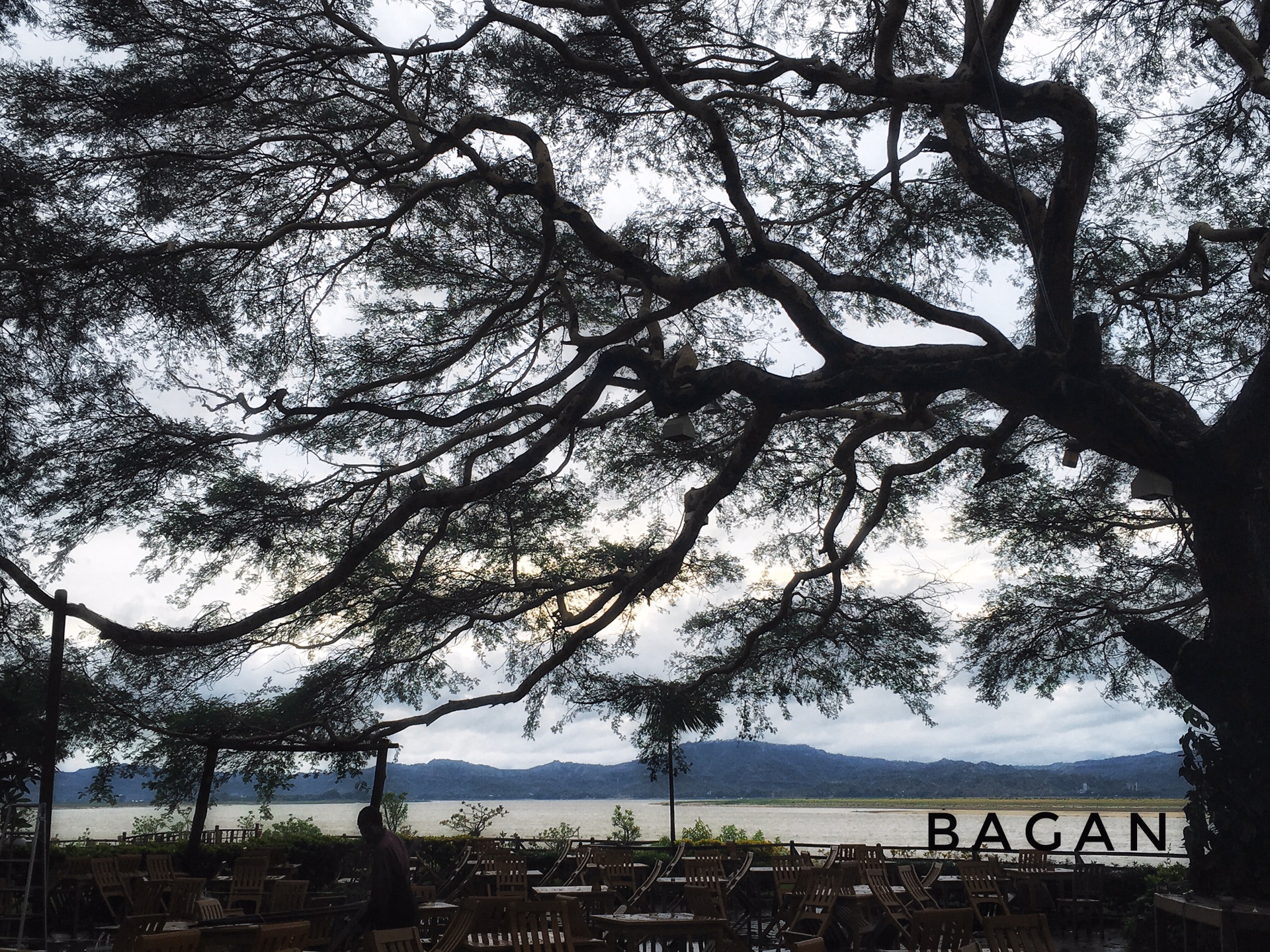 一盆花猜成语_一盆花图片(3)