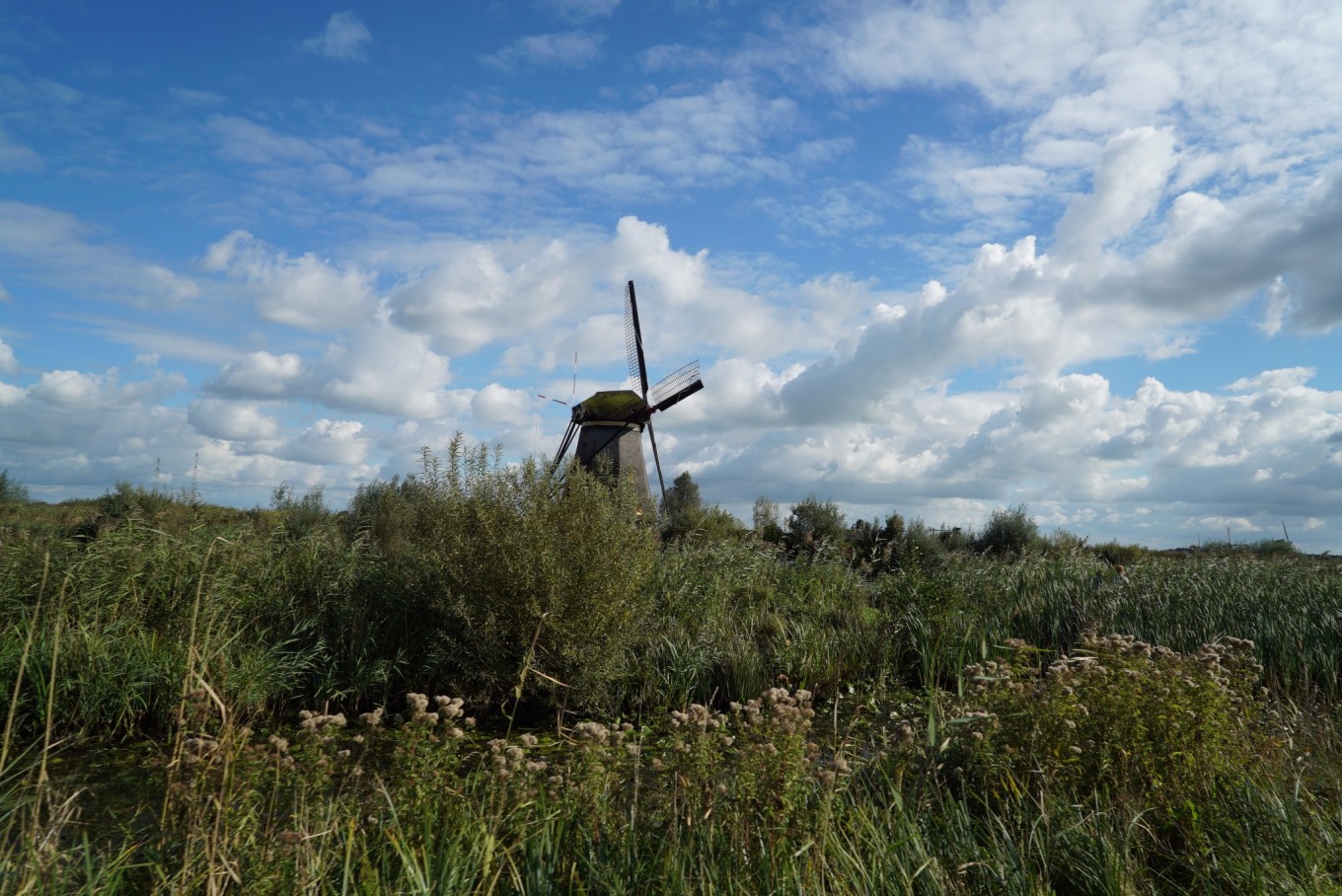 全方位记录自驾比利时荷兰·满满干货~各种T
