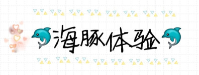 海豚体验 海豚体验