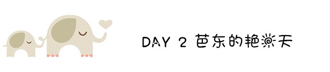 DAY 2 芭东的艳阳天 DAY 2 芭东的艳阳天