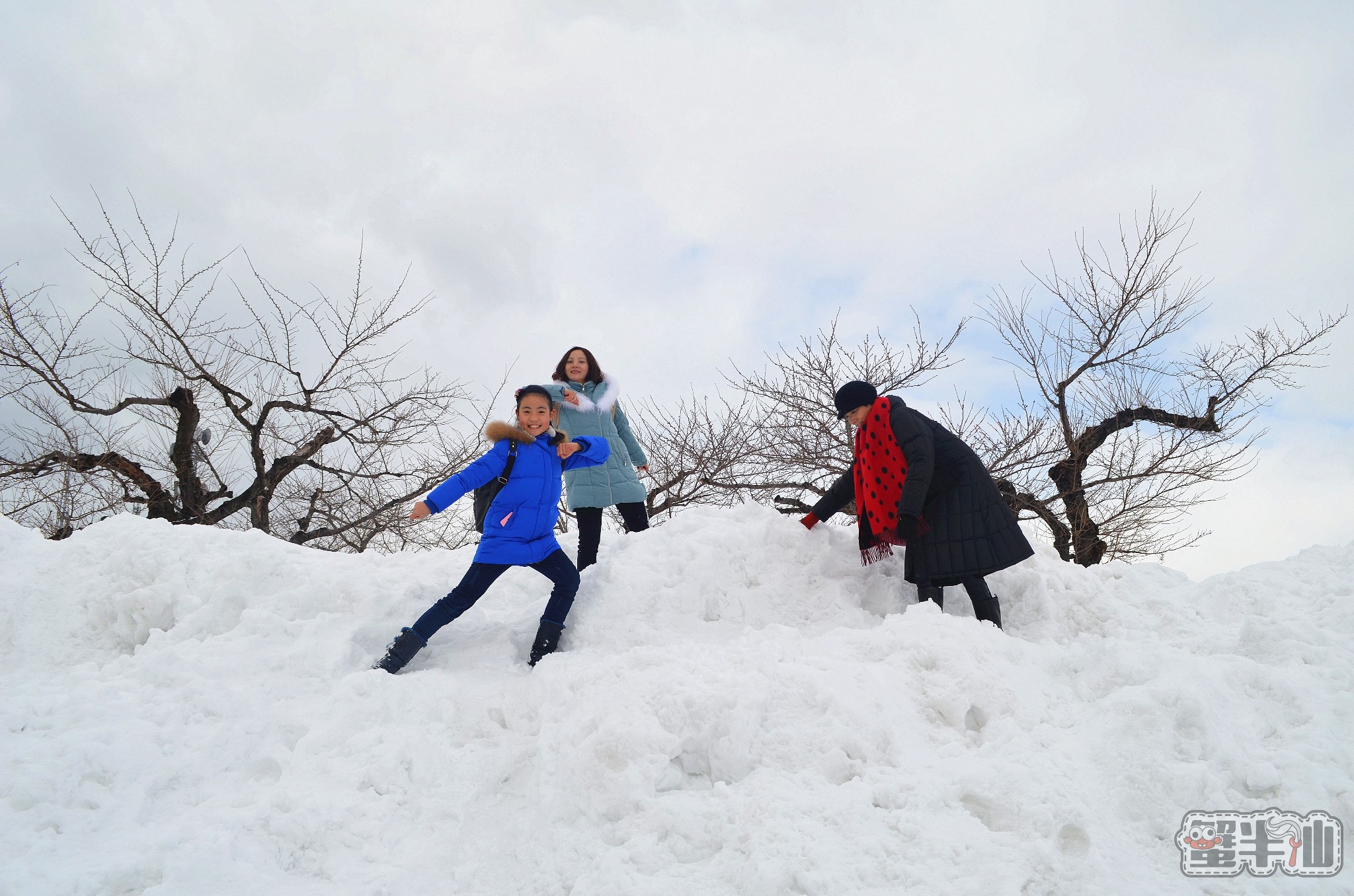 北海道自助遊攻略