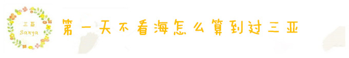 DAY1 第一天不看海怎么算到过三亚 DAY1 第一天不看海怎么算到过三亚