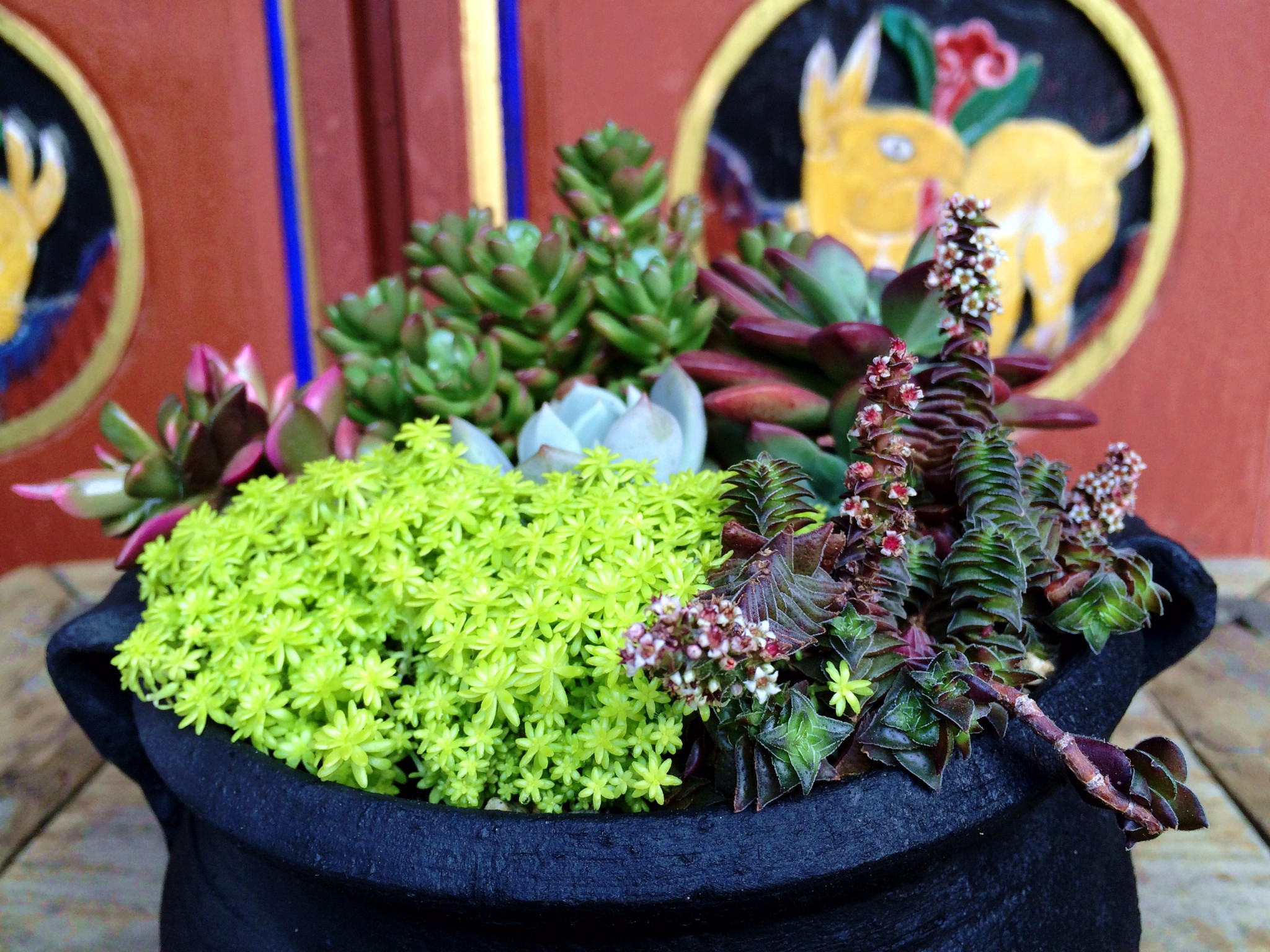 庵 大理感通山寂照庵,位于大理苍山圣应峰南麓,寺院被葱笼茂密的青松