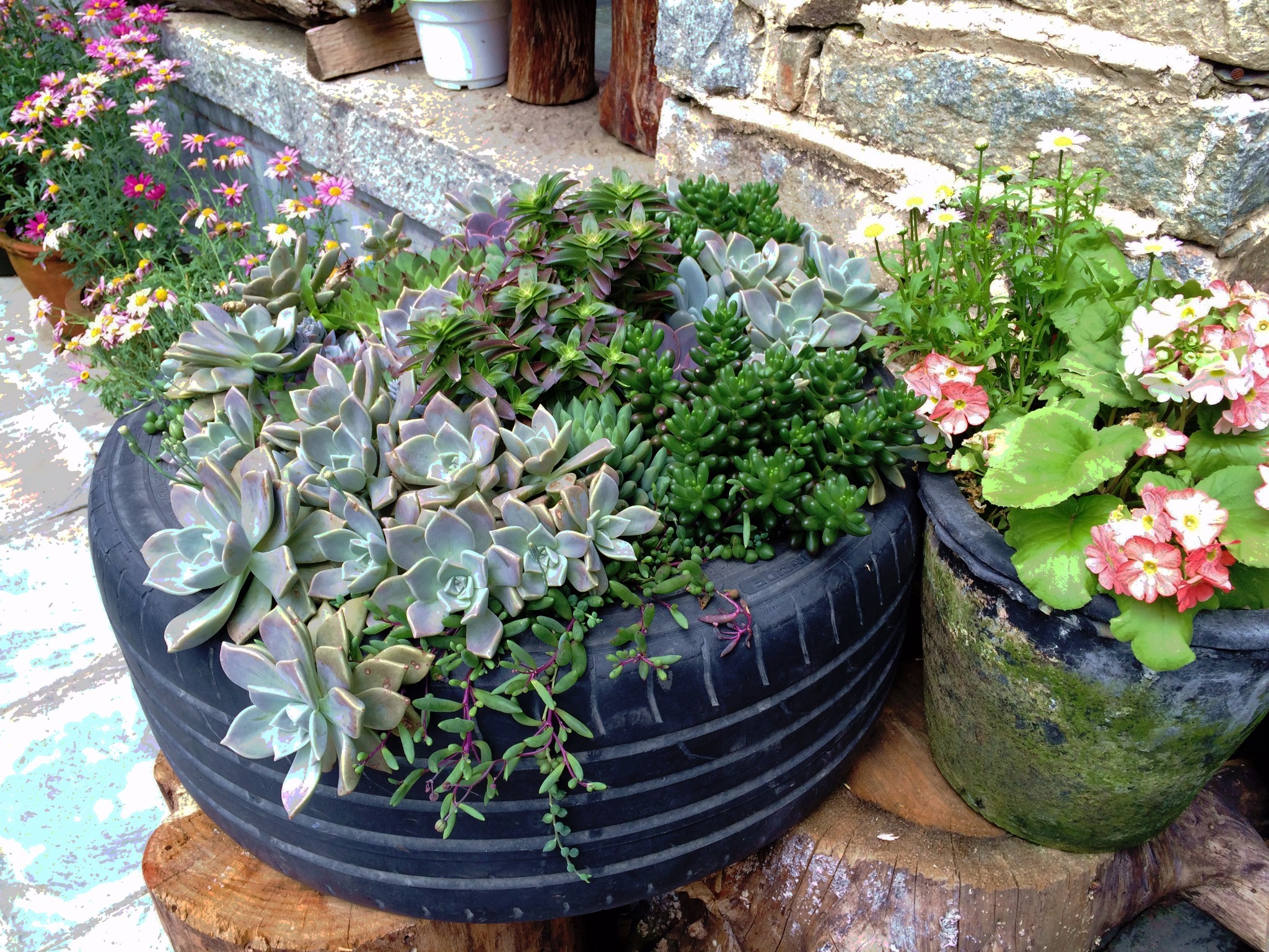 庵 大理感通山寂照庵,位于大理苍山圣应峰南麓,寺院被葱笼茂密的青松