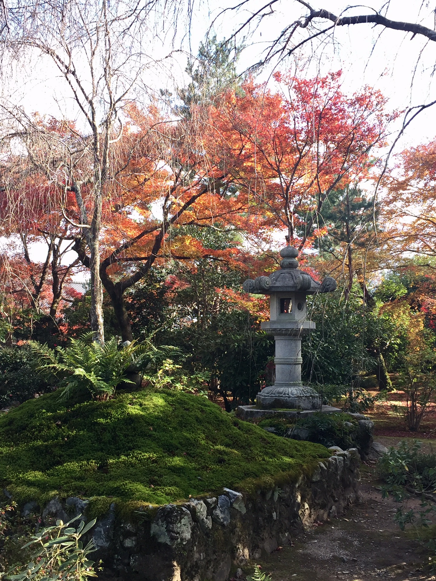 京都自助遊攻略