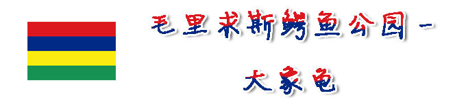 毛里求斯鳄鱼公园-大象龟 毛里求斯鳄鱼公园-大象龟