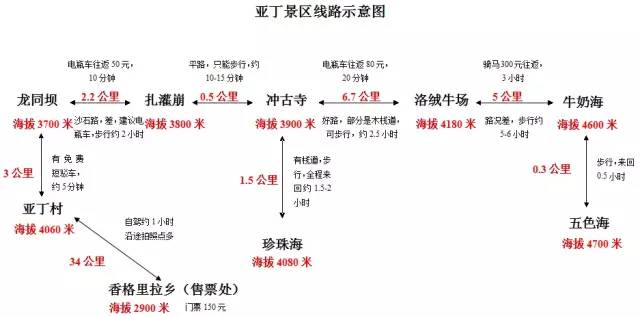 卓玛拉简谱_小星星简谱(2)