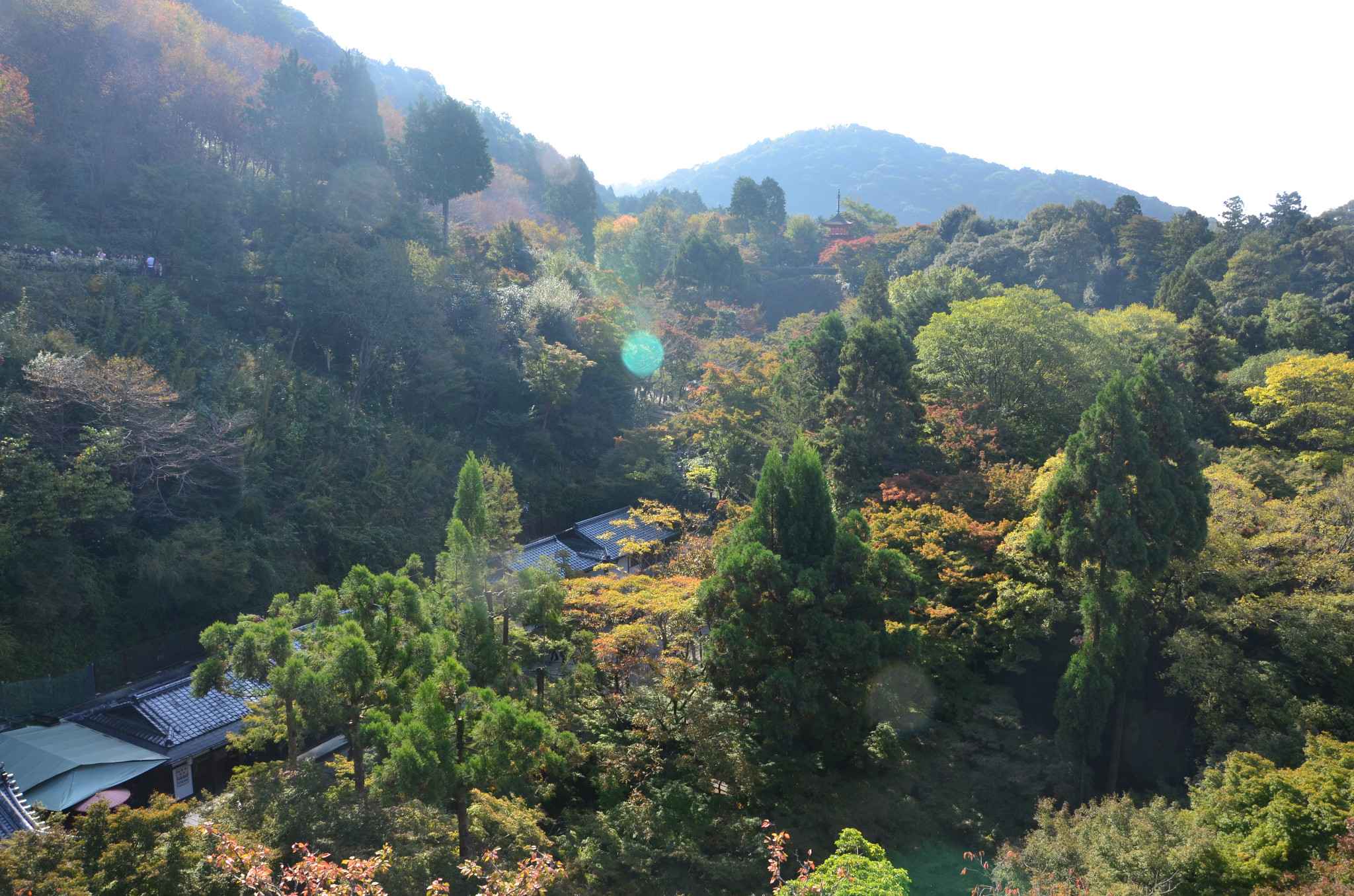 京都自助遊攻略