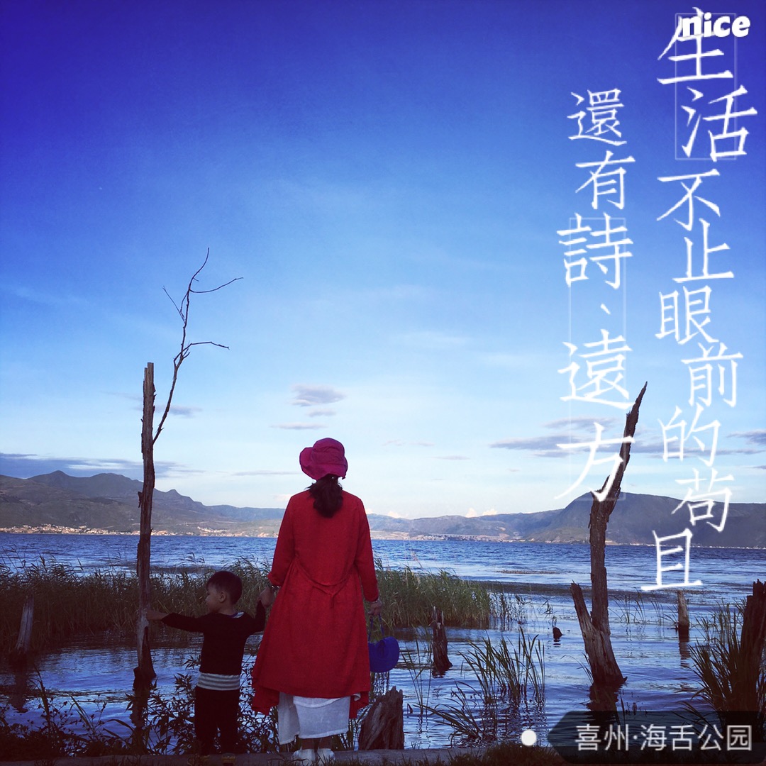 束河自助遊攻略
