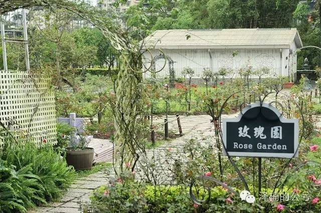 许昌蒋店人口_许昌蒋李集镇地图(2)