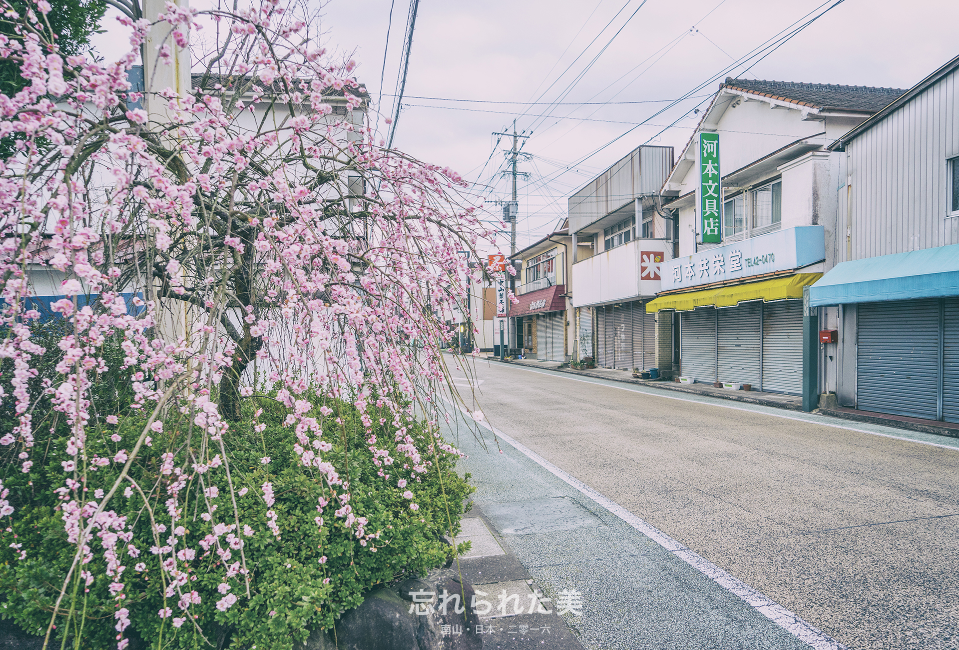 日本自助遊攻略