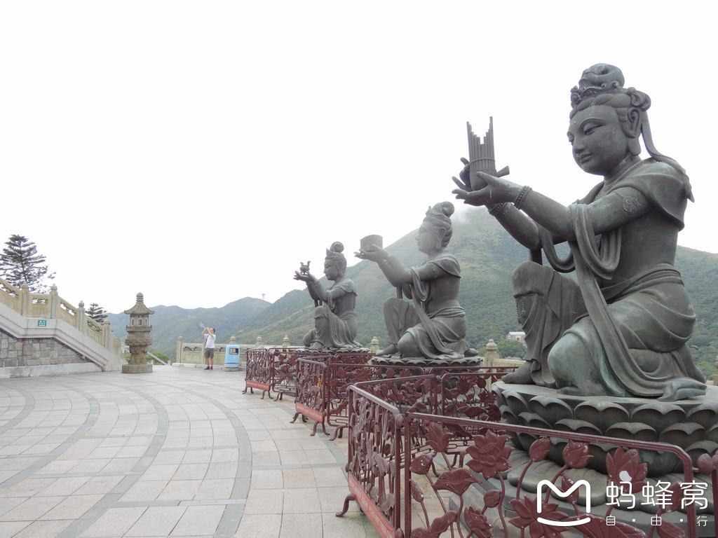 舍利人口_舍利花图片(2)