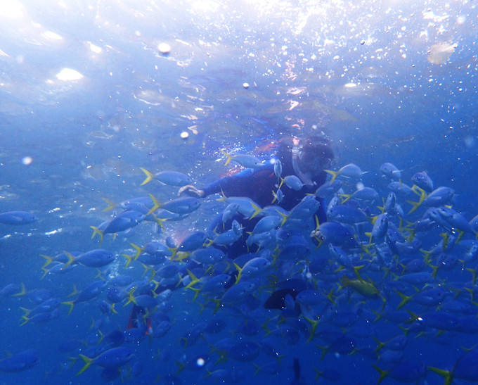 wKgBs1cTk0KAd-qqAAH2UsYuUa898.jpeg?imageView2%2F2%2Fw%2F680%2Fq%2F90%7CimageMogr2%2Fstrip%2Fquality%2F90