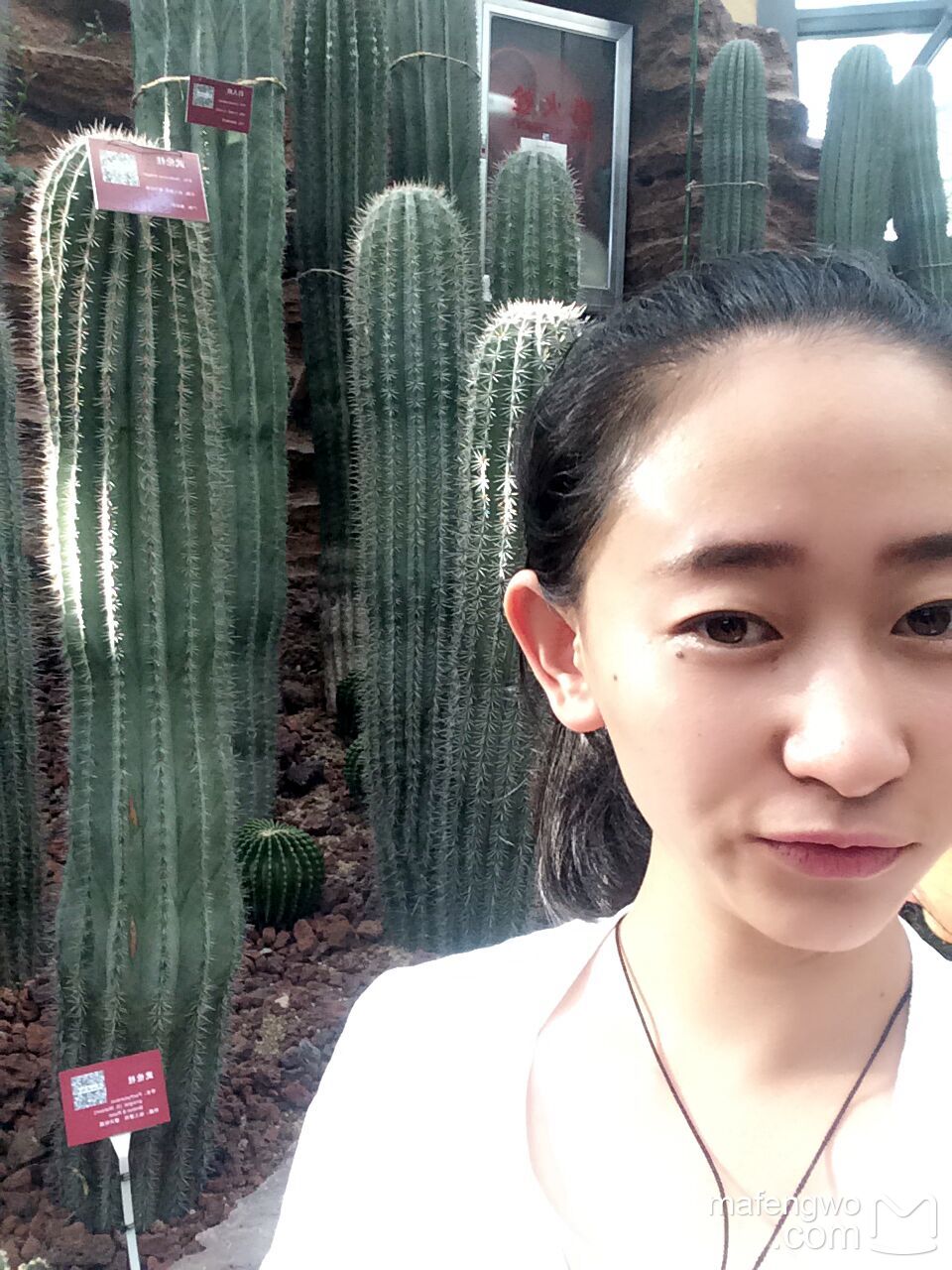 唐姓有多少人口(3)