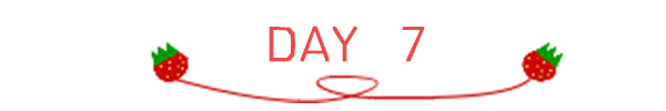 DAY 6 DAY 6