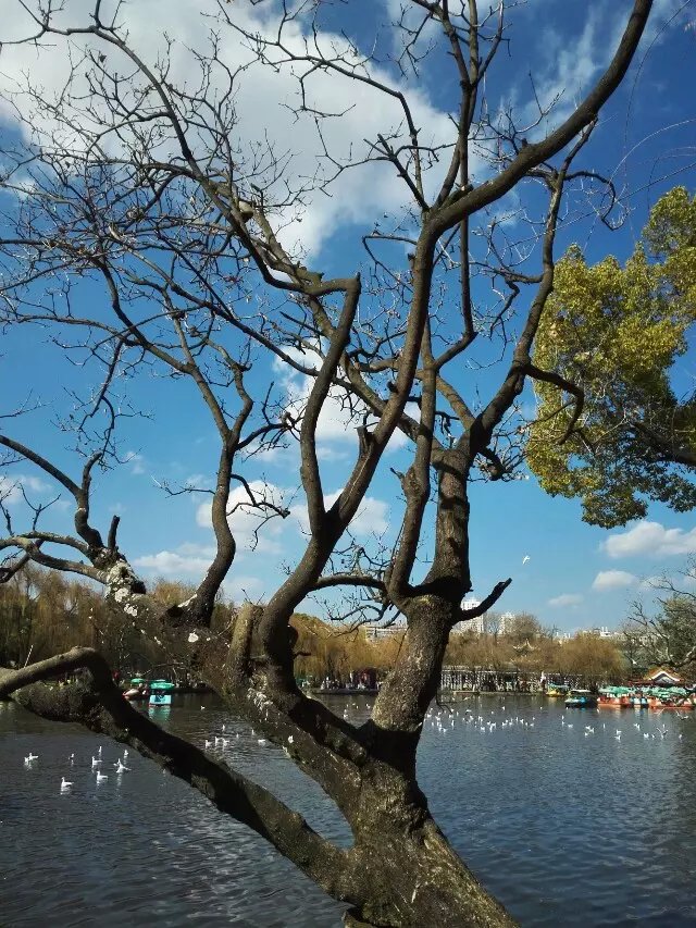 wKgBs1baiCCASMcPAALmwggrekw76.jpeg?imageView2%2F2%2Fw%2F600%2Fq%2F90%7CimageMogr2%2Fstrip%2Fquality%2F90