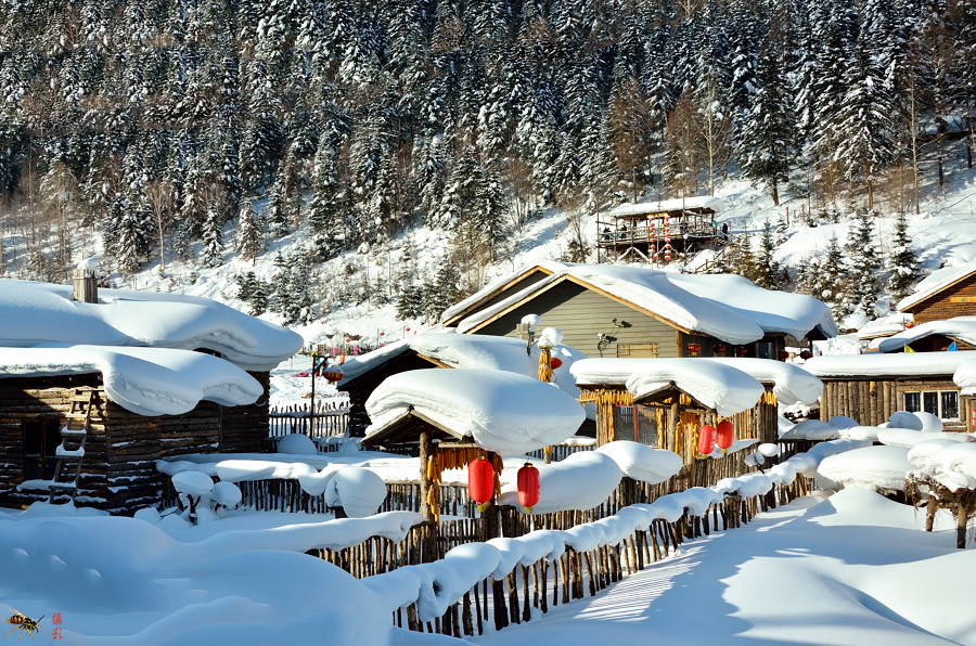 雪鄉自助遊攻略