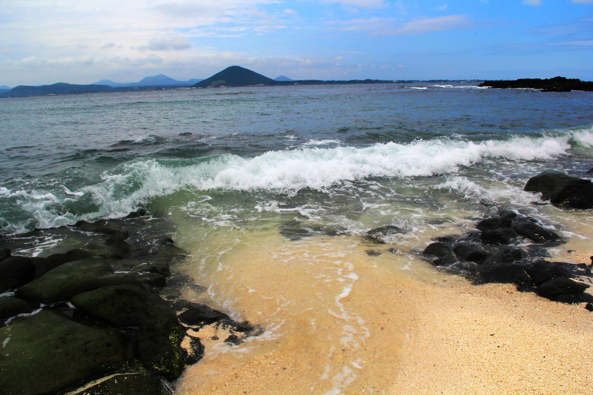 济州排名_济州真柏盆景图片(2)