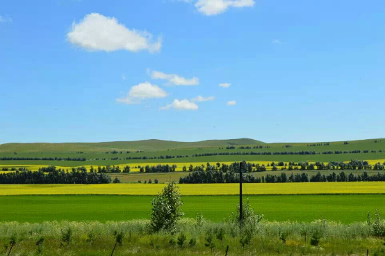 户外旅游攻略全集 wKgBs1cxvJeAUQShAAOM6uA53gw209.png?imageView2%2F2%2Fw%2F600%2Fh%2F600%2Fq%2F90