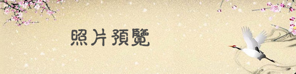 照片预览 照片预览