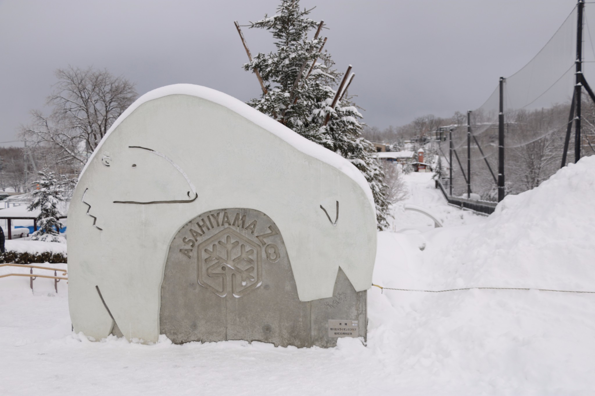 北海道自助遊攻略