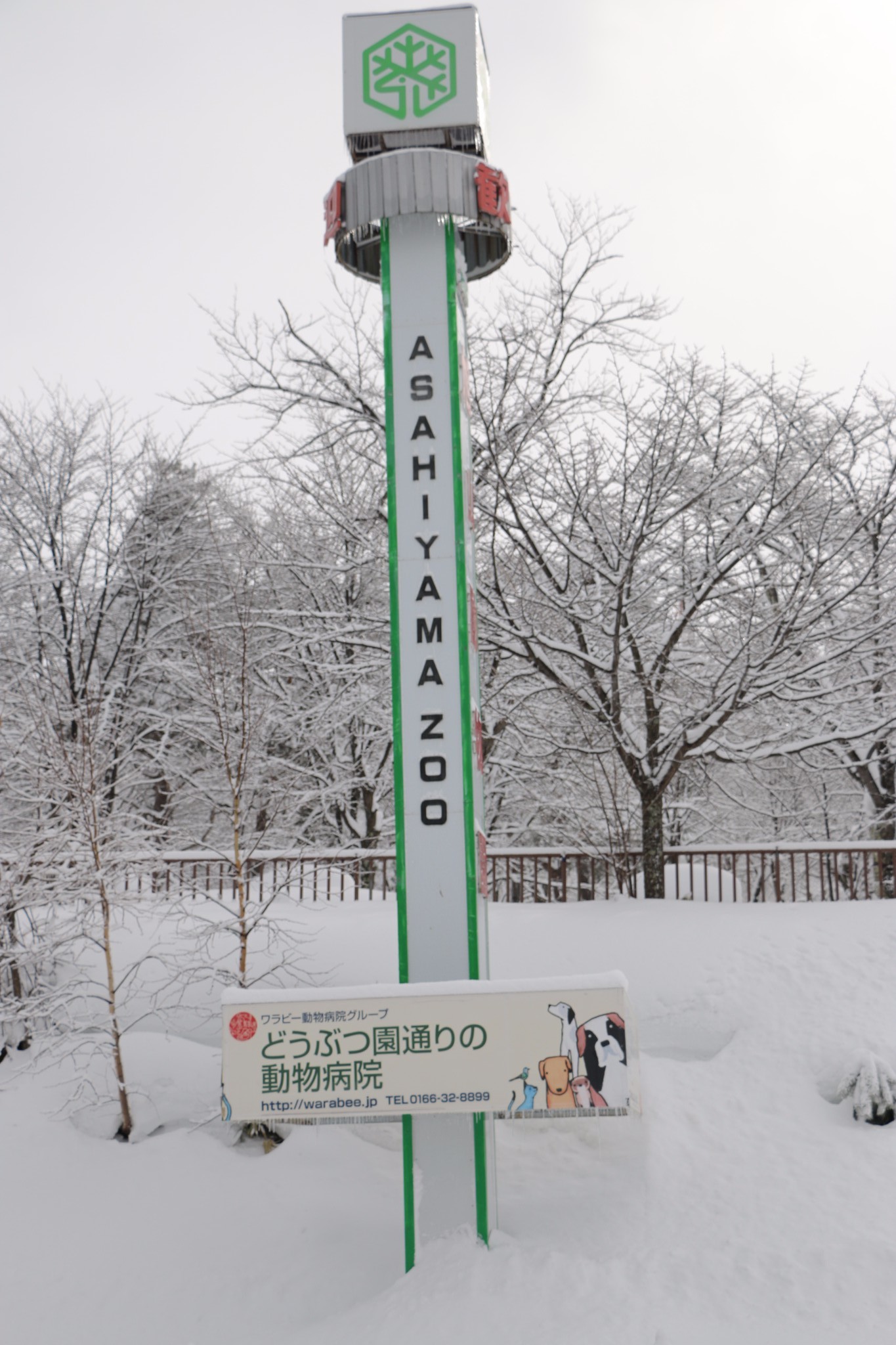 北海道自助遊攻略