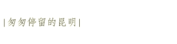 匆匆停留的昆明 匆匆停留的昆明
