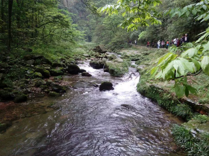 张家界桑植县人口_张家界桑植县老照片(2)