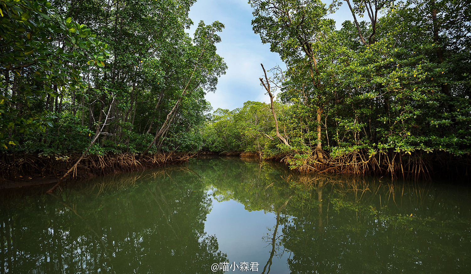 熱浪島自助遊攻略