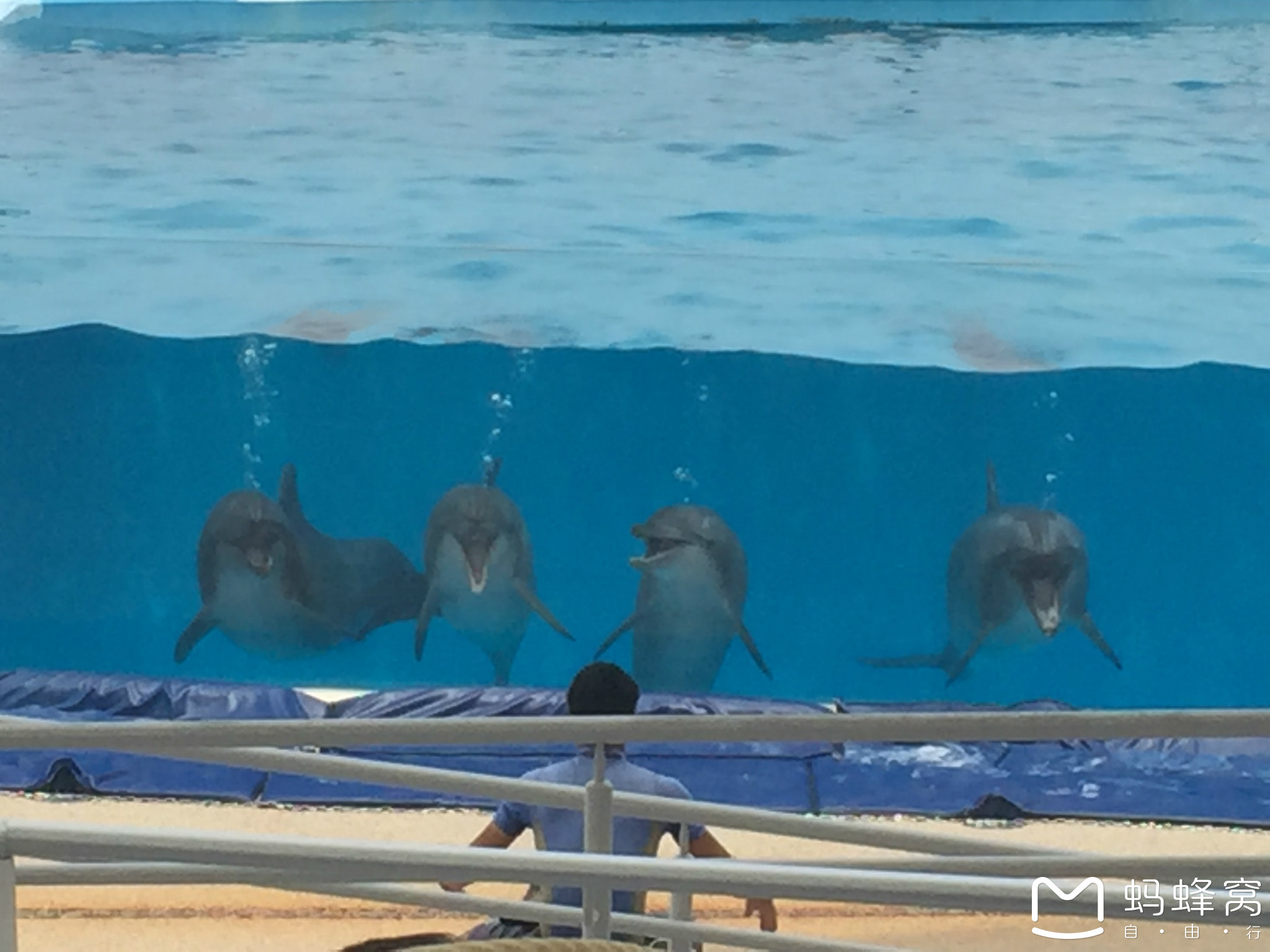 水族有多少人口_三月三 感受浓浓广西民族风 一