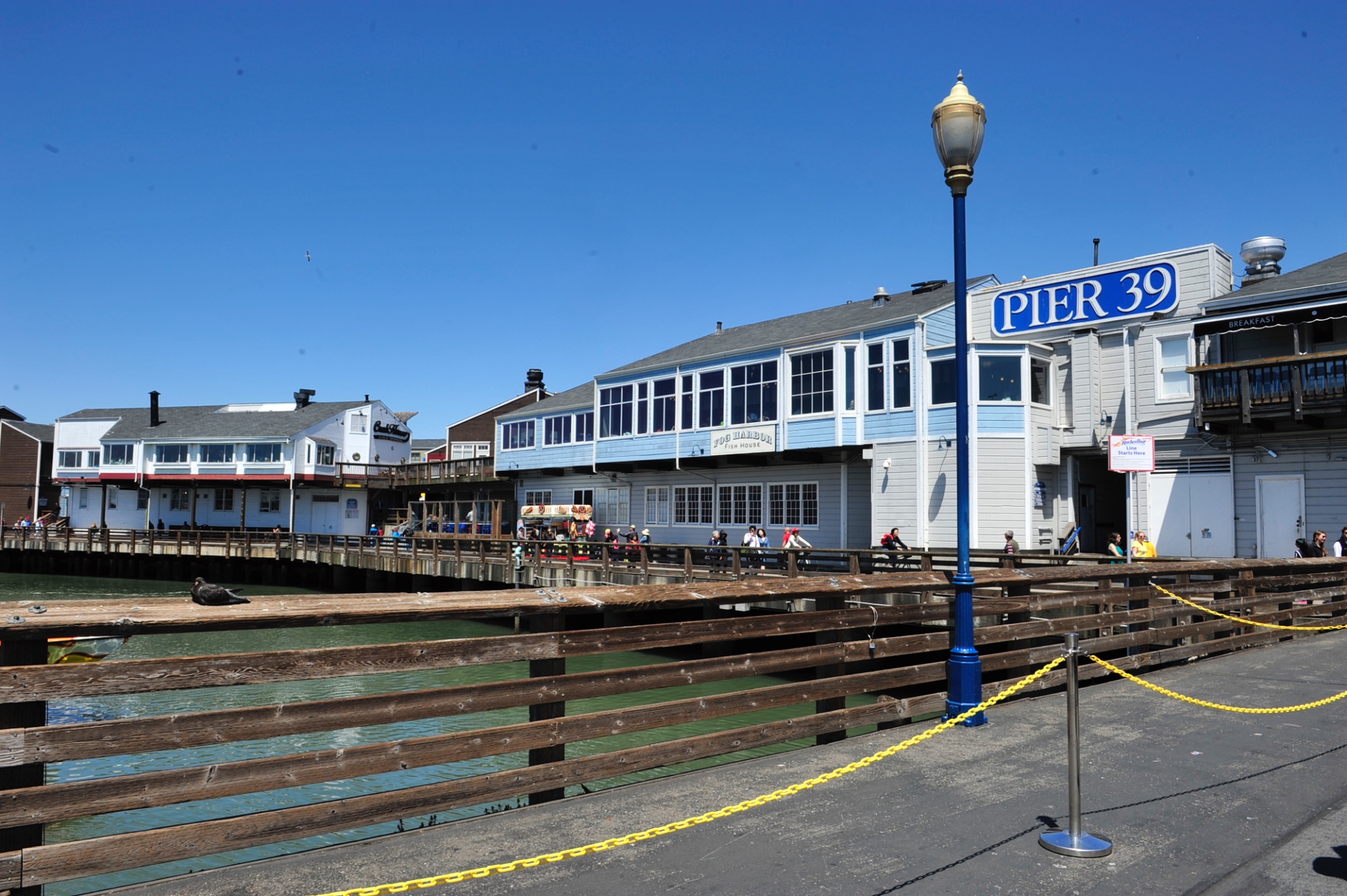 2016 美利坚就是大! -1- 旧金山市区和卡梅尔小