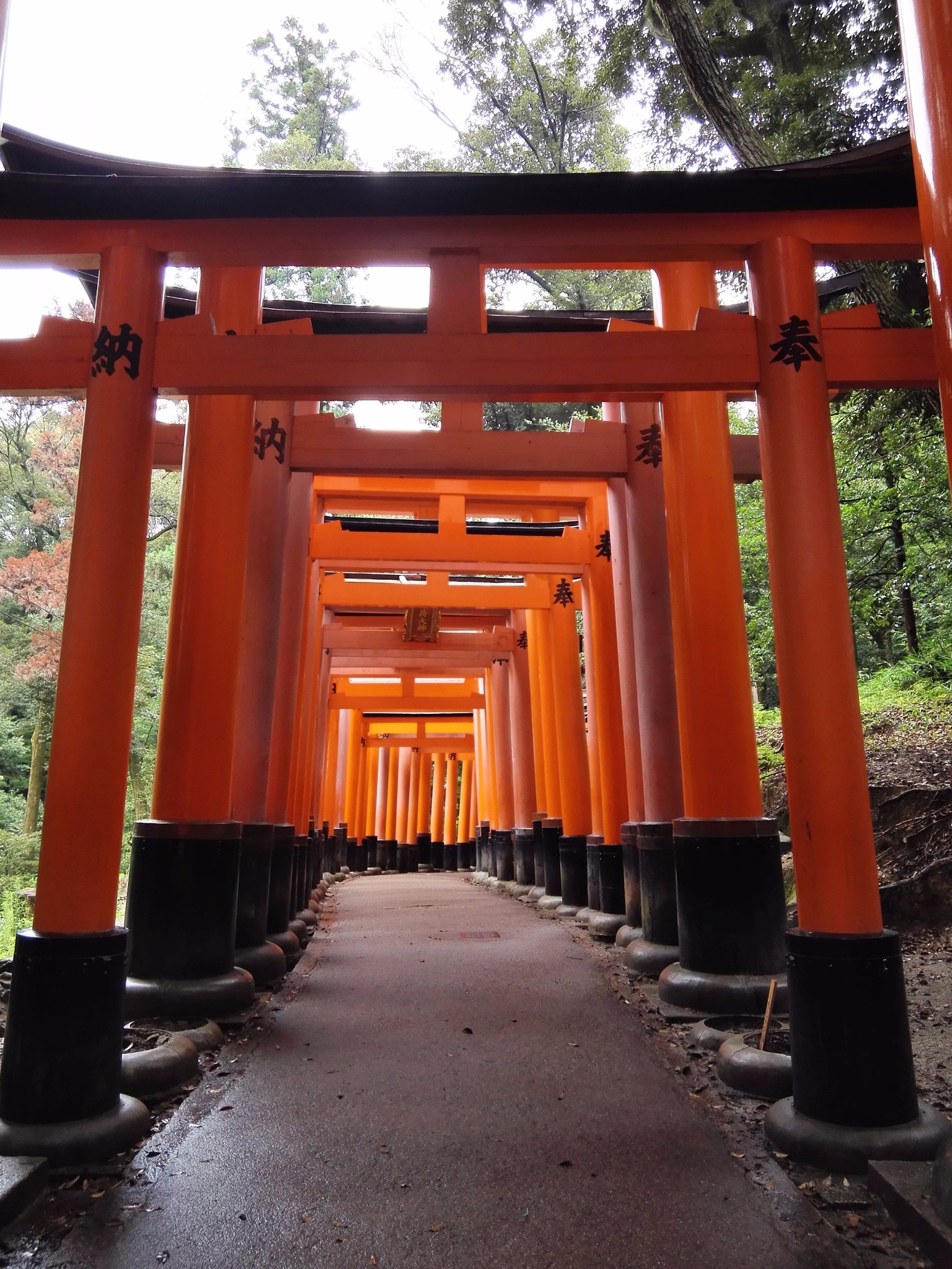 京都自助遊攻略