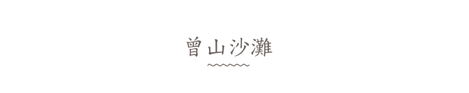 曾山沙滩 曾山沙滩
