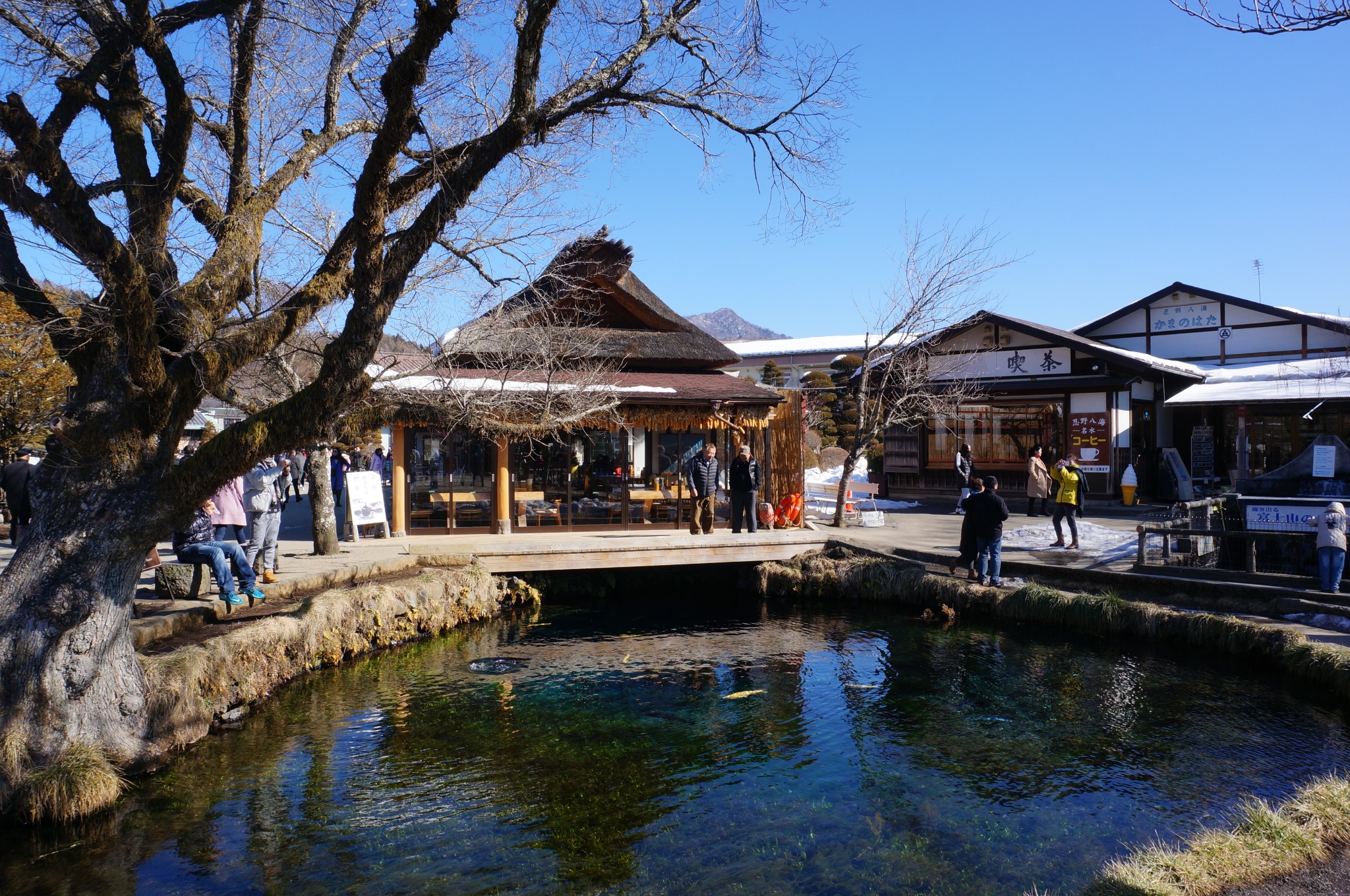 【图片】日本:富士山下 爱情不转移