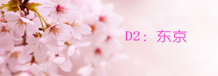 D2:东京 D2:东京