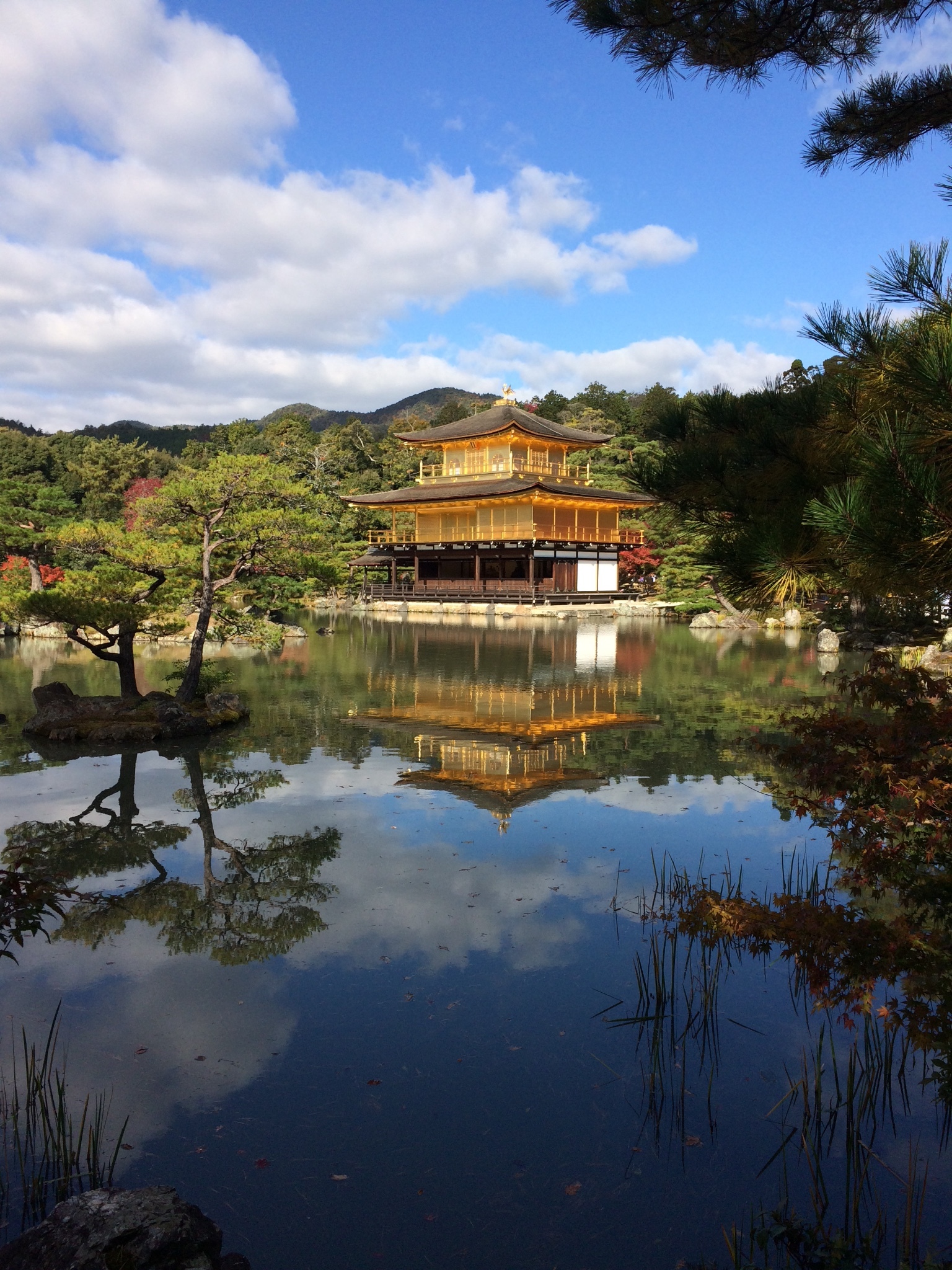 京都自助遊攻略