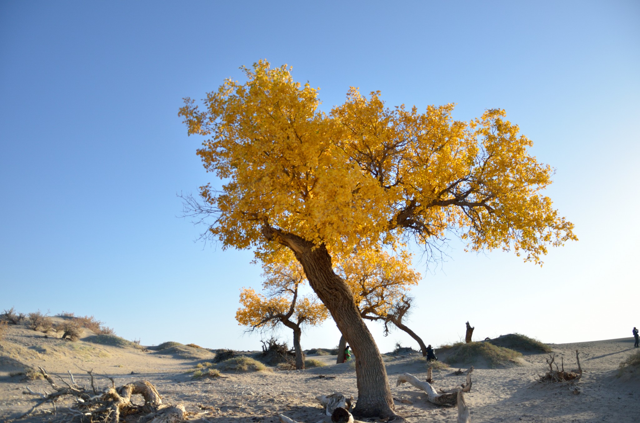 神机妙算刘伯温传说曲谱(3)