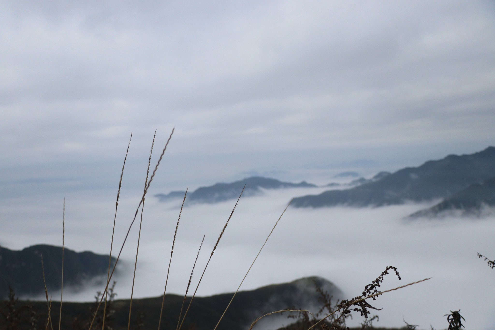 好梦什么的成语大全_成语简笔画图片大全