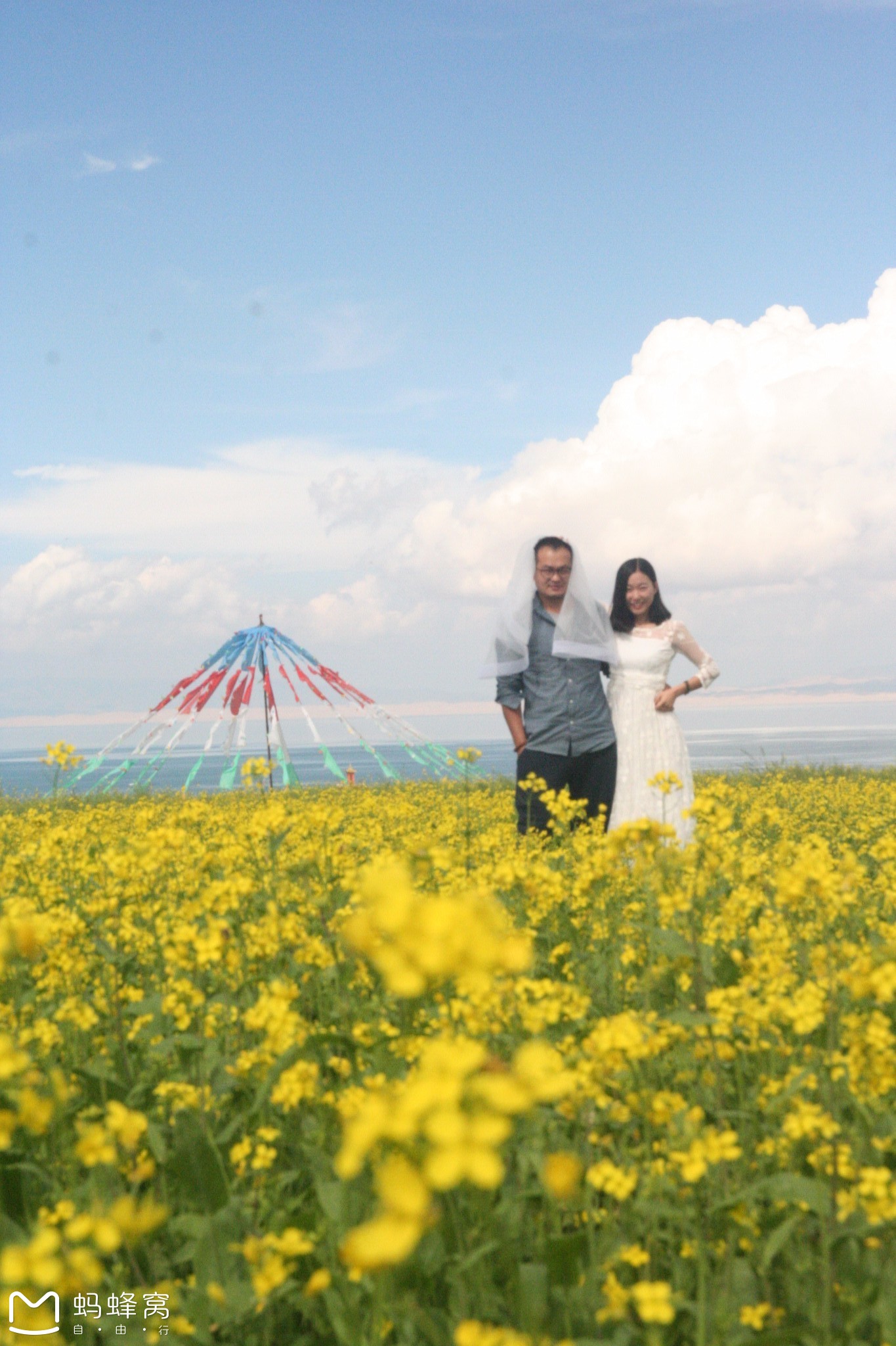 青海湖婚纱旅拍_茶卡青海湖旅拍(3)