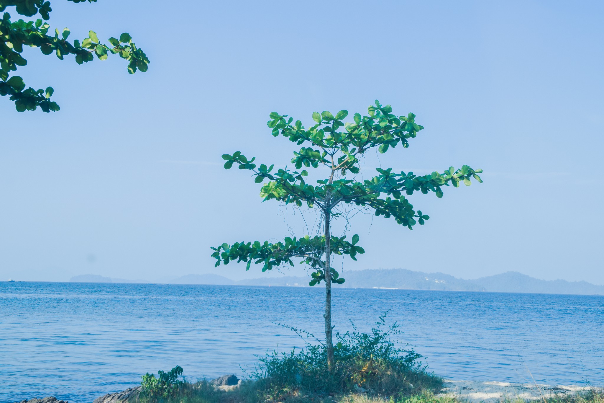 普吉島自助遊攻略