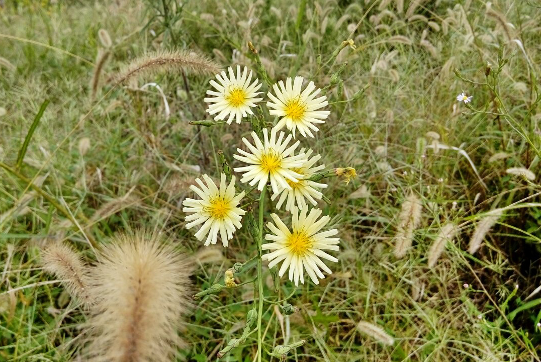 wKgBs1f3wriAVDVFAAtdWIw8xhc50.jpeg?imageView2%2F2%2Fw%2F680%2Fq%2F90%7CimageMogr2%2Fstrip%2Fquality%2F90