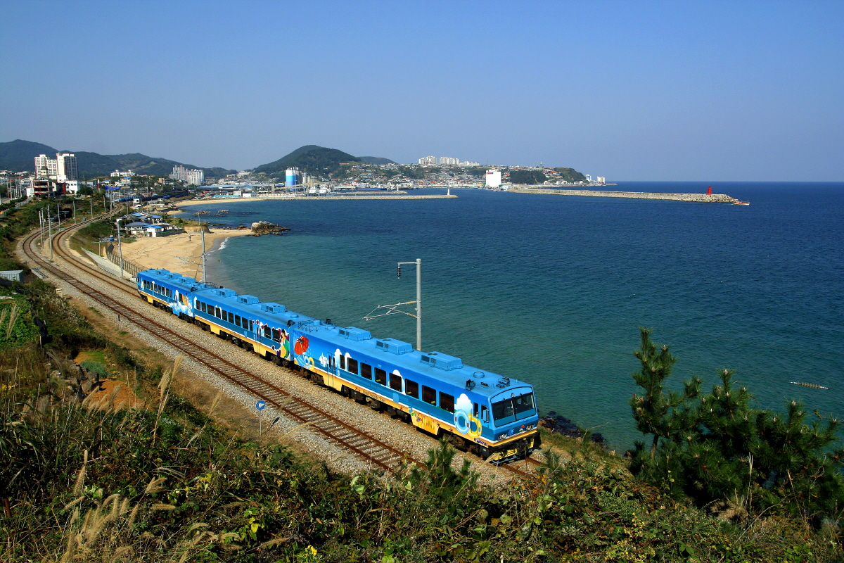 像千與千尋一樣的海岸列車,去不了斯里蘭卡,就去韓國正東津,面朝大海