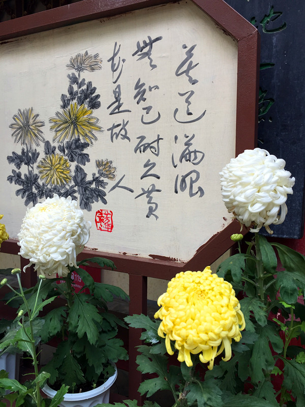 抱什么叶成语_成语故事图片(3)