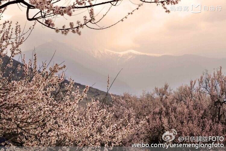 西藏自助遊攻略