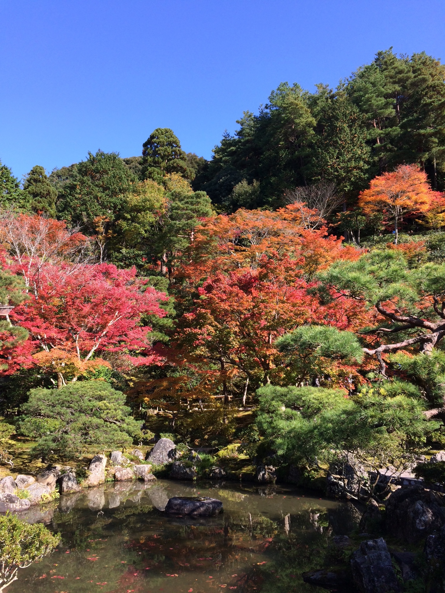 京都自助遊攻略