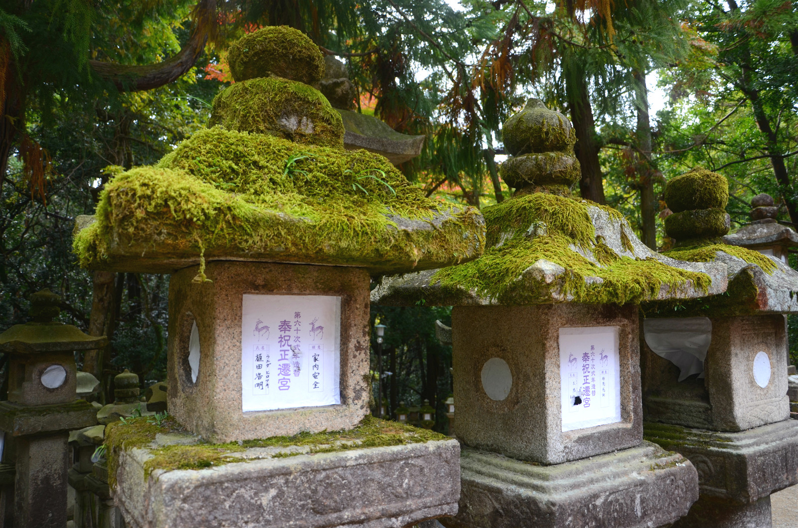 京都自助遊攻略