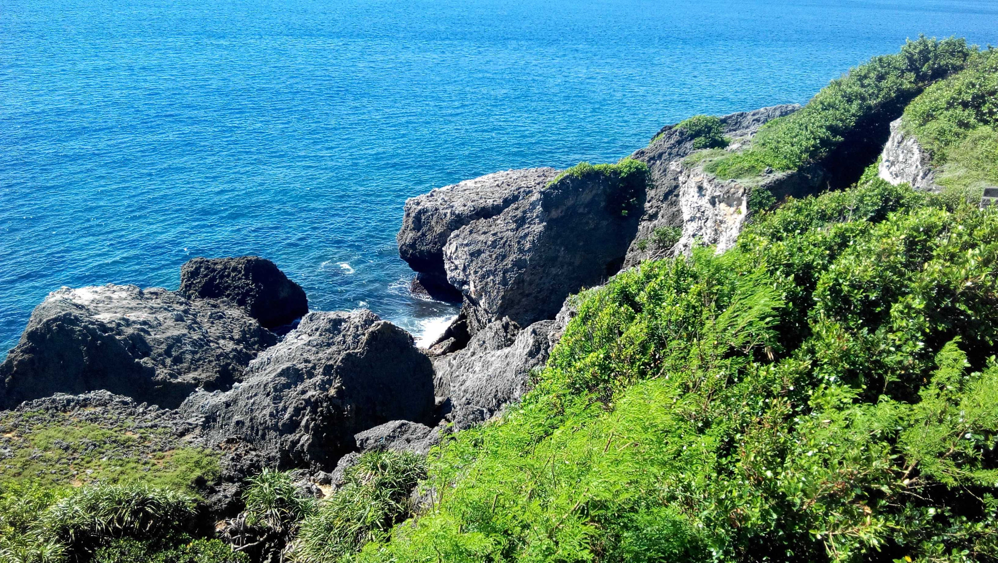 听小卡尼吉亚介绍——台湾琉球屿