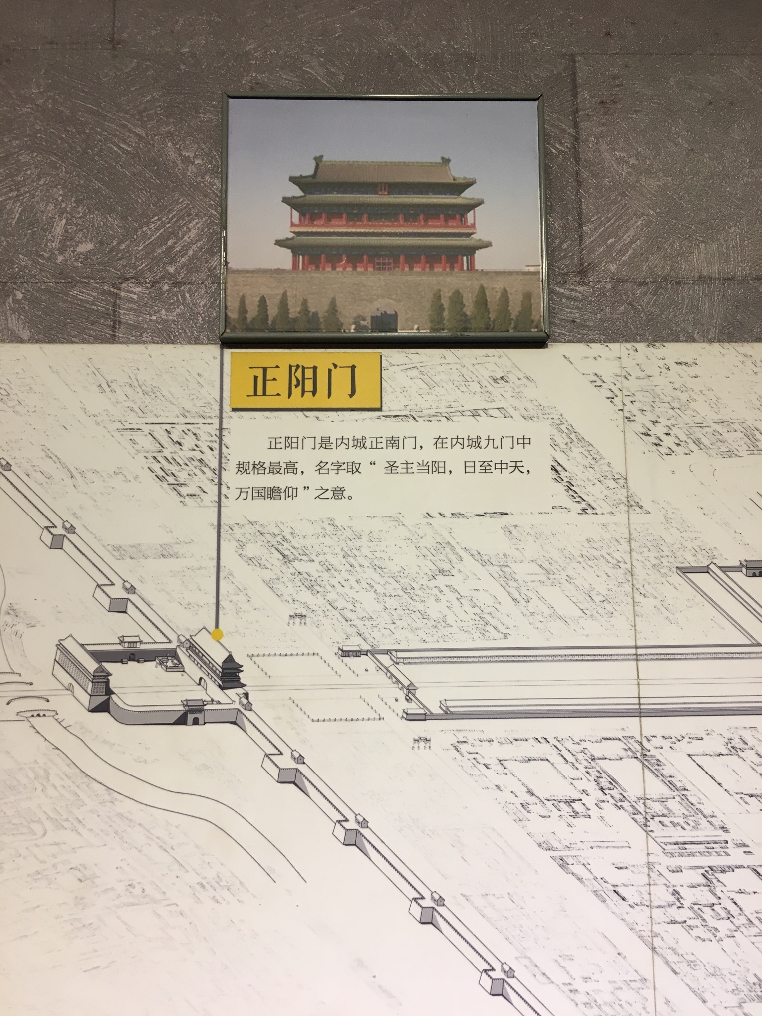 什么绽放四字成语_半三足什么的四字成语(2)